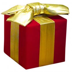 Aucun cadeau